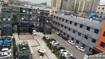 深圳龙华电商公司避雷实操指南 深圳龙华电商公司避雷