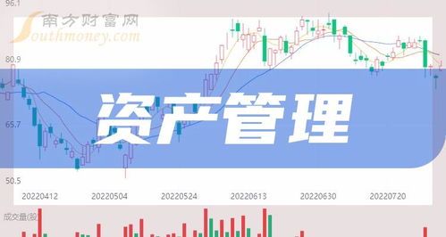 财富管理的概念股票是什么
