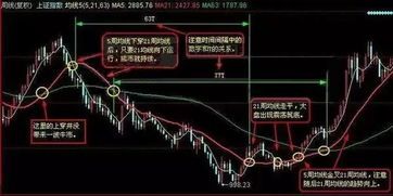 【实战】均线黏合涨停选股公式全曝光 均线黏合涨停选股公式
