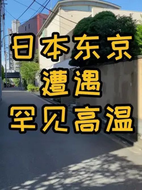 2022夏天电费涨价了吗