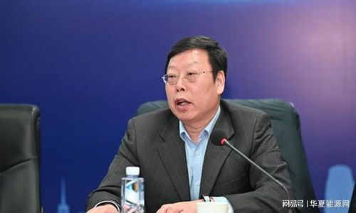 国华投资集团副董事长的投资决策全流程解密 国华投资集团副董事长