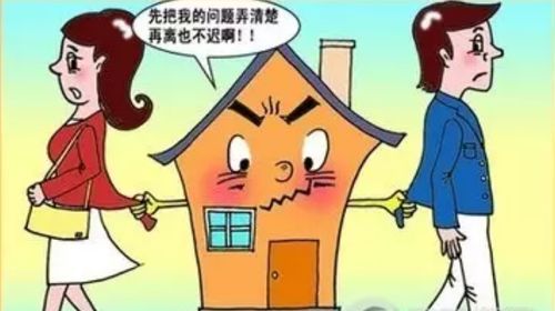 儿子离婚财产分配全攻略:别让资产变成“八卦” 一个儿子离婚怎么分配财产